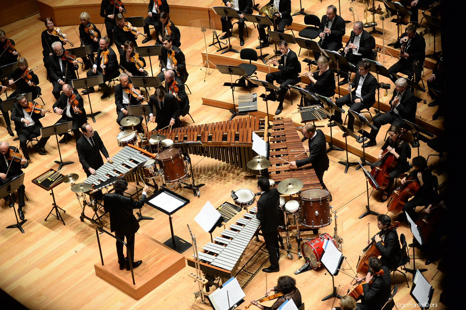 Quatuor Beat interprète Cythère avec orchestre